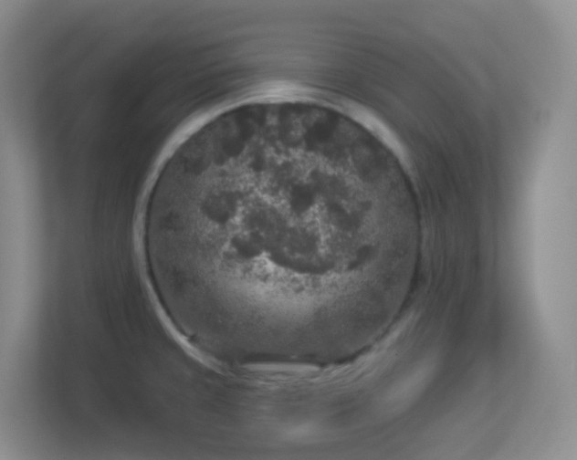 X0000113881429200909241343