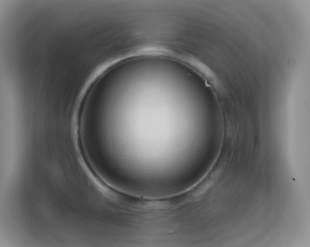 X0000113881430200909241343