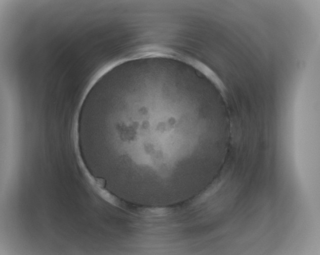 X0000113881431200909241343