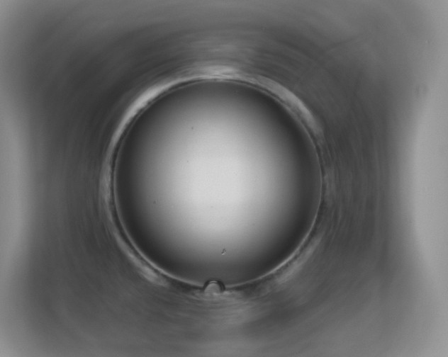 X0000113881432200909241343