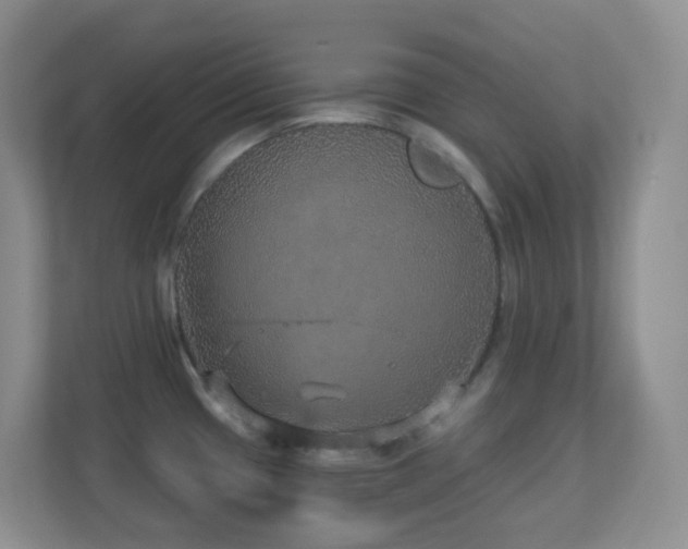 X0000113881433200909241343