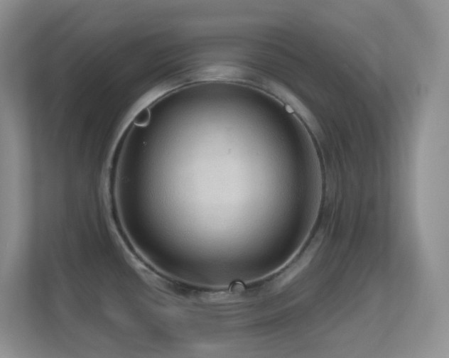 X0000113881434200909241343
