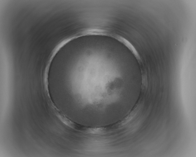 X0000113881435200909241343
