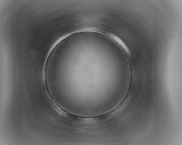 X0000113881436200909241343