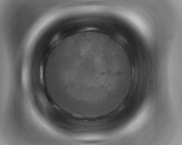 X0000113881439200909241343