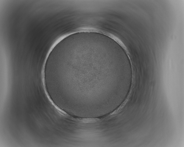 X0000113881440200909241343