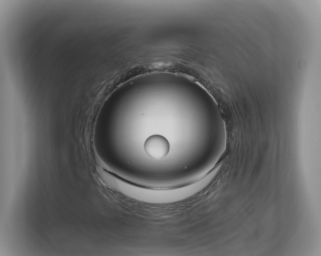 X0000113881441200909241342