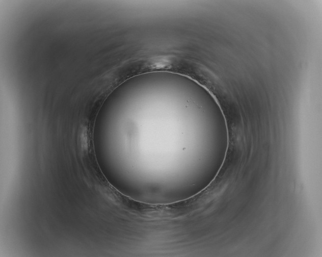 X0000113881442200909241342