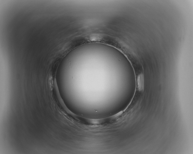 X0000113881443200909241342