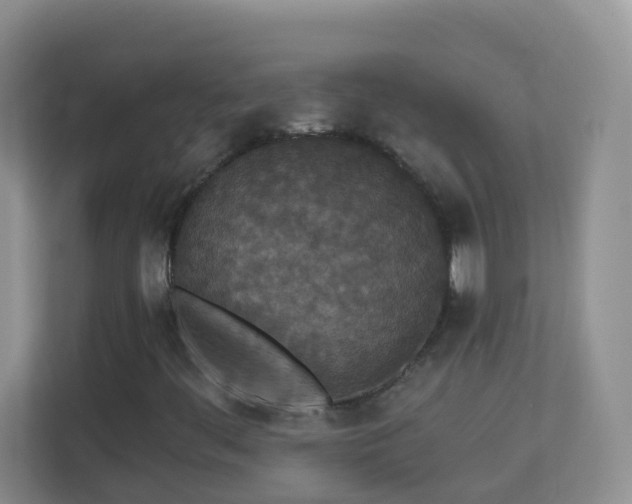 X0000113881444200909241342