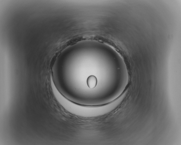 X0000113881445200909241342