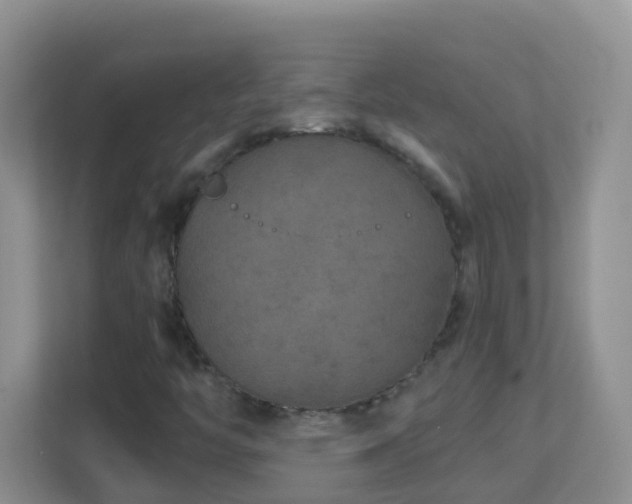 X0000113881446200909241342