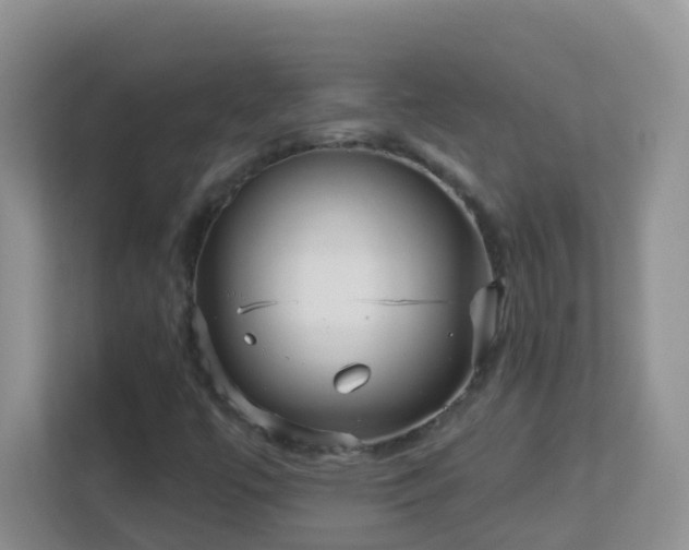 X0000113881447200909241342