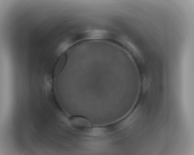 X0000113881449200909241342