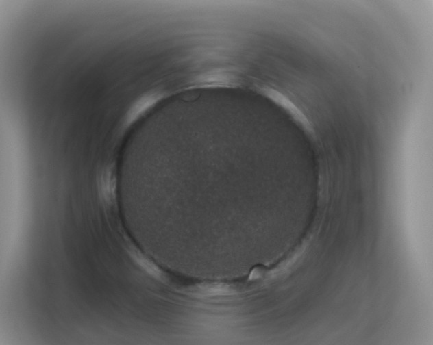 X0000113881450200909241342
