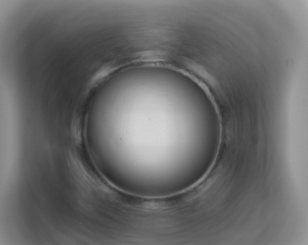 X0000113881451200909241342