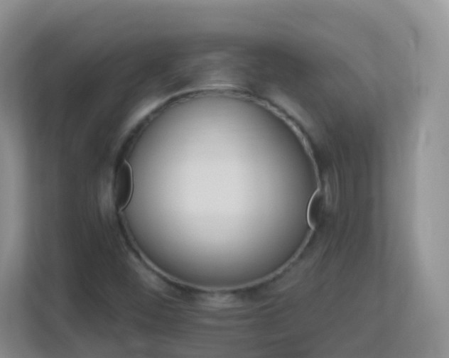 X0000113881452200909241342