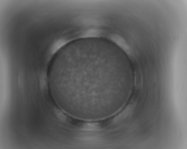 X0000113881453200909241342