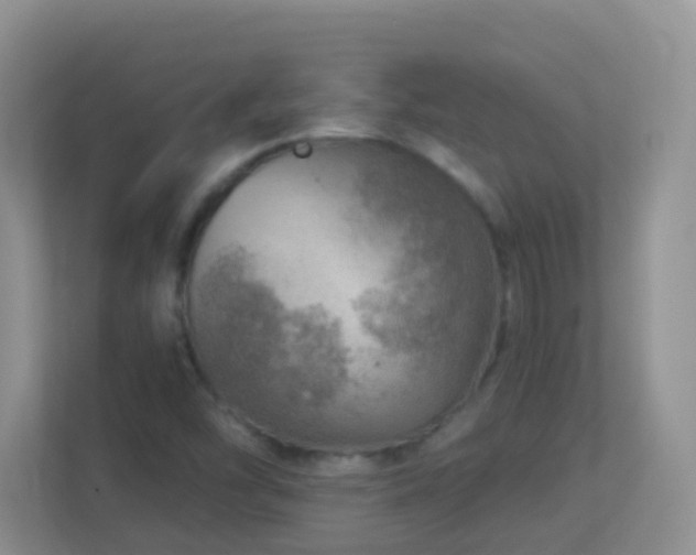 X0000113881454200909241342