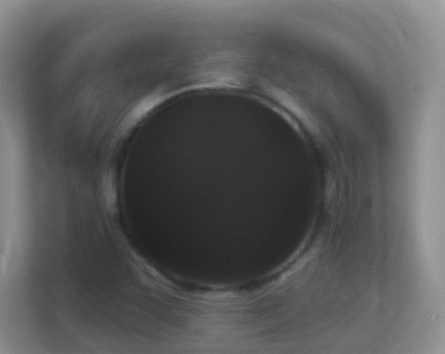 X0000113881455200909241342