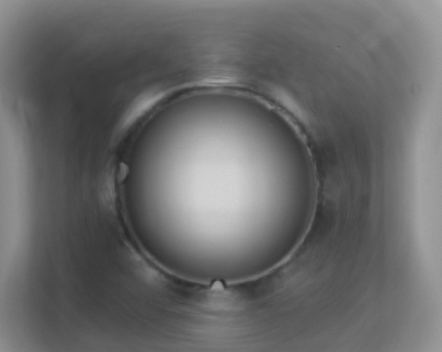 X0000113881456200909241342