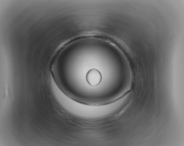 X0000113881457200909241342