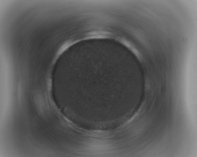 X0000113881459200909241342