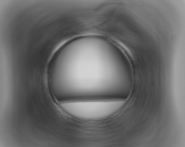 X0000113881460200909241342