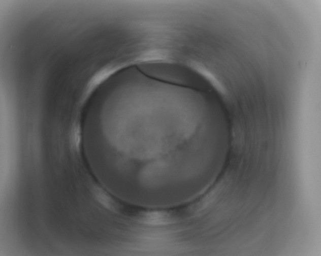 X0000113881461200909241342