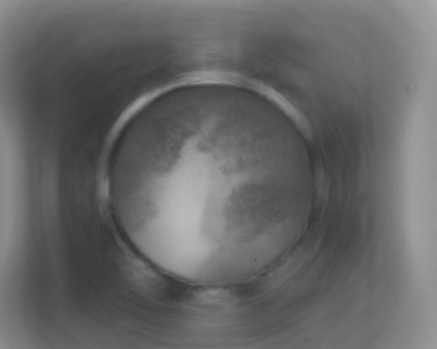 X0000113881462200909241342