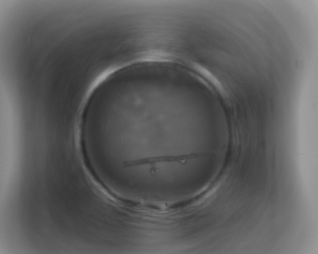 X0000113881463200909241342
