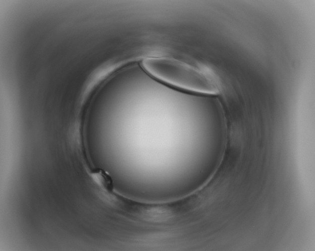 X0000113881464200909241342