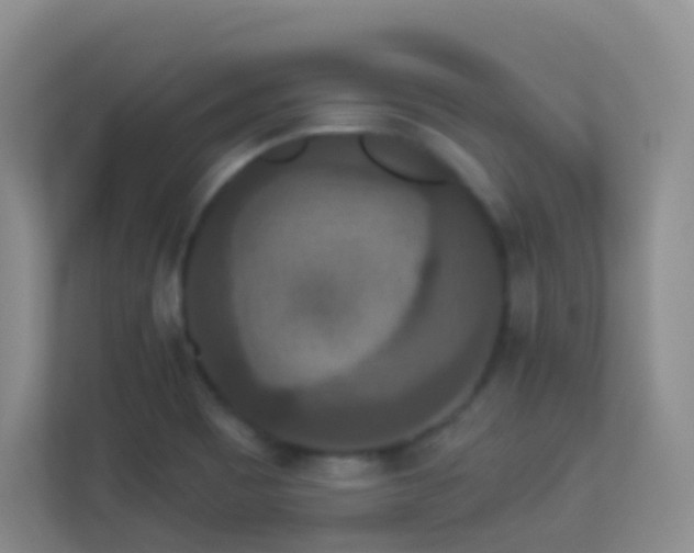 X0000113881465200909241342