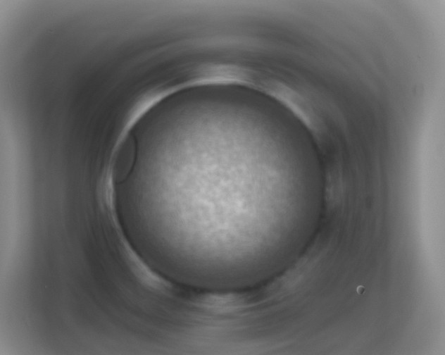 X0000113881468200909241342