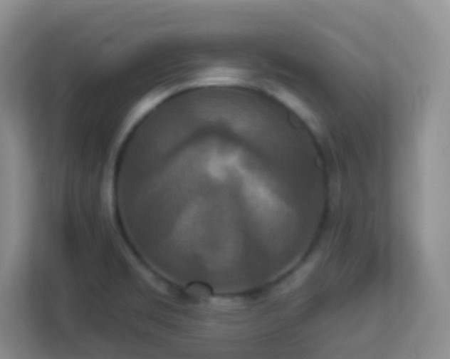 X0000113881469200909241342