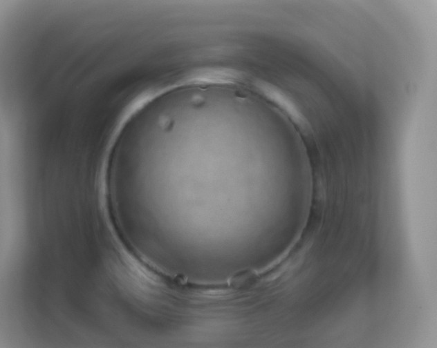 X0000113881471200909241342