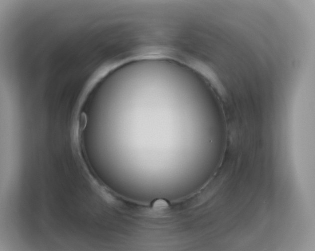 X0000113881472200909241342