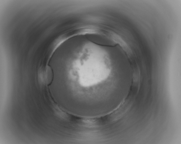 X0000113881473200909241342