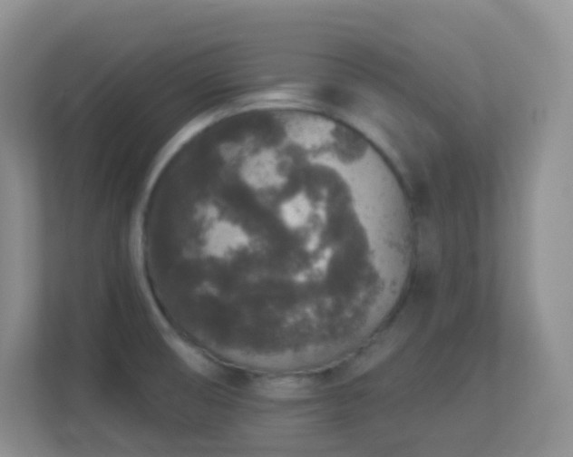 X0000113881474200909241342