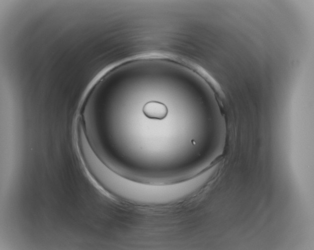 X0000113881476200909241342