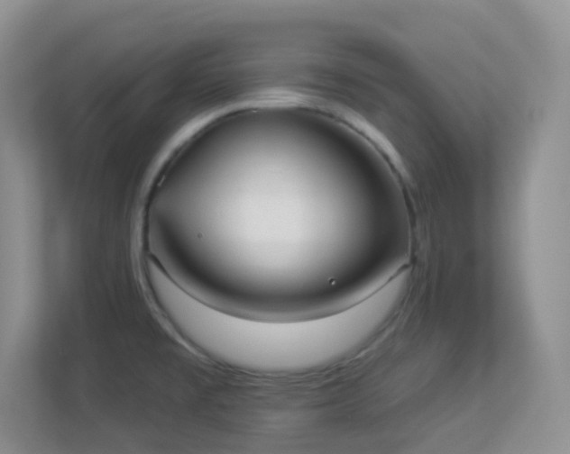 X0000113881477200909241342
