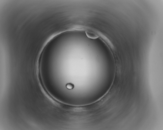 X0000113881479200909241342