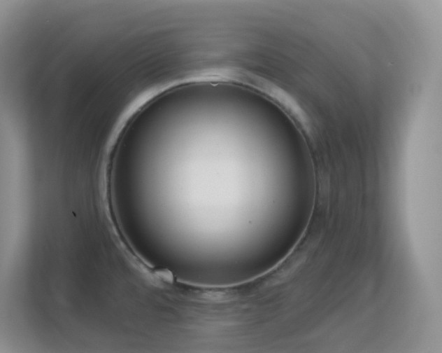 X0000113881480200909241342