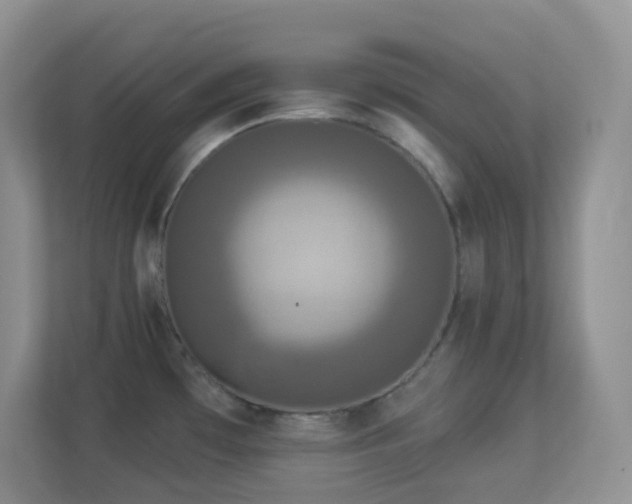 X0000113881481200909241342