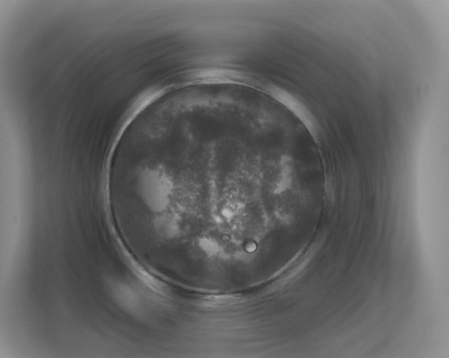 X0000113881482200909241342