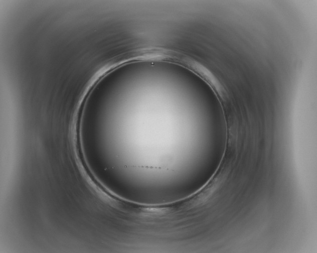 X0000113881483200909241342