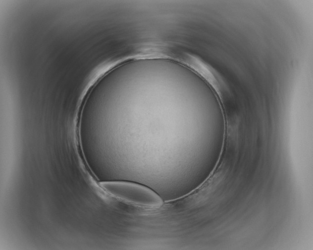 X0000113881485200909241342