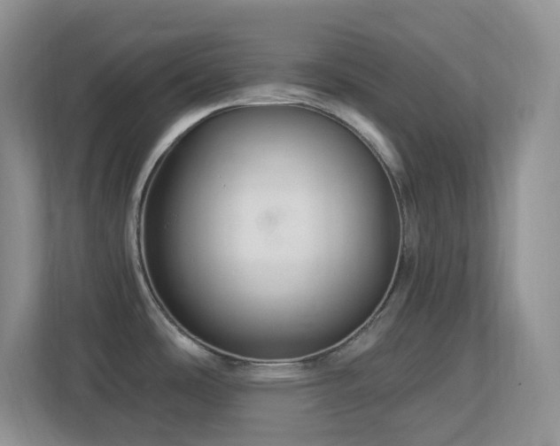 X0000113881486200909241342