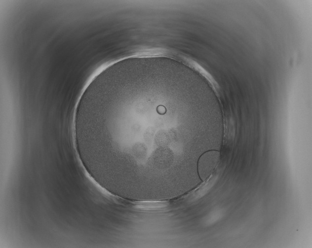 X0000113881487200909241342