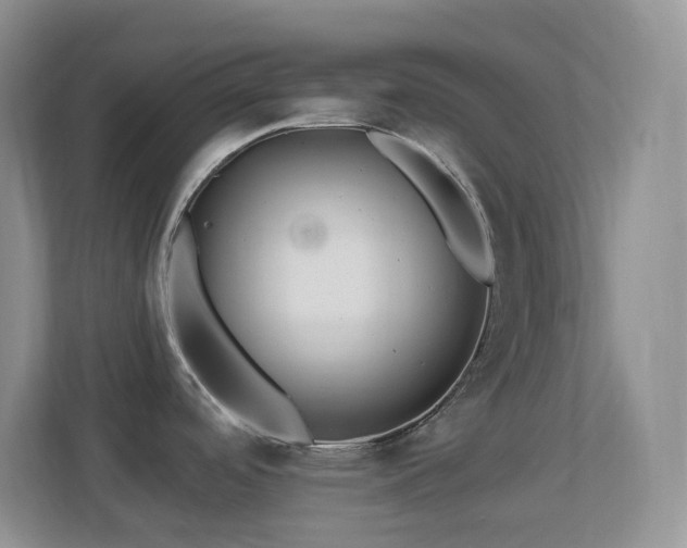 X0000113881488200909241342